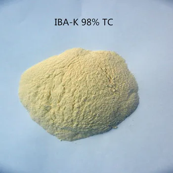 10 gramu indola-3-sviestskābe kālija IBA-K šķīst ūdenī 3-Indolebutyric Skābais kālija IBA Auxin ar zemu cenu