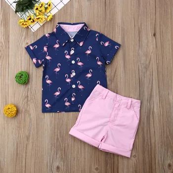 ASV Toddler Bērnu Zēniem 1Y-6Y Vasaras Flamingo Topi, T-krekls, Šorti 2GAB Apģērbs Apģērbs 10745