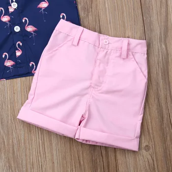 ASV Toddler Bērnu Zēniem 1Y-6Y Vasaras Flamingo Topi, T-krekls, Šorti 2GAB Apģērbs Apģērbs