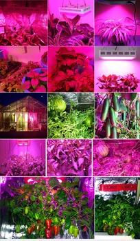 FAMURS led augt gaismas 1500W pilna spektra Triple-Chip UV, IS, lai augt telts siltumnīcefekta telpu augi, sēklas, ziedu dārzeņi 30631