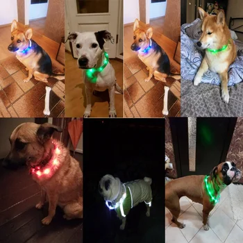 Jaunās LED gaismas kaklasiksnas kaklasiksna USB lādējamu regulējams pet kaķu un suņu drošības apkakles 12 gaismas mājdzīvnieku drošību brīdinājuma gaismas