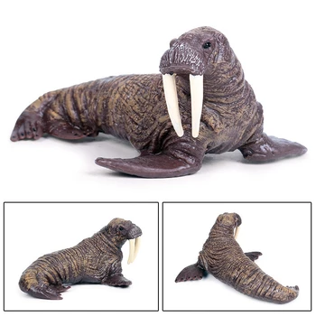 Jūras Dzīvi Dzīvnieki Valzirgu Modelis Figūriņas Simulācijas Modeļi Rotaļlietas