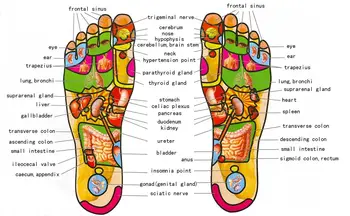 Koka Dual Pēda, Akupunktūra Massager Rullīšu Bumbu, Atbrīvot Plantar Fasciitis Stresa Papēža Arch Sāpes Shiatsu Akupresūras Atpūta