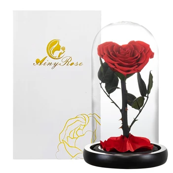Sirds Formas Konservēti Rožu Skaistums un Zvērs Mūžīgā Roze Stikla Kupola Kāzu Mākslīgie Ziedi Valentīna Ziemassvētku Dāvanu