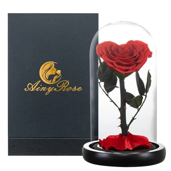 Sirds Formas Konservēti Rožu Skaistums un Zvērs Mūžīgā Roze Stikla Kupola Kāzu Mākslīgie Ziedi Valentīna Ziemassvētku Dāvanu