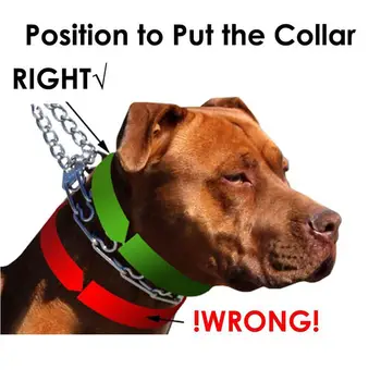 Suns Dakšas Apmācību Apkakles, Metāla Aizrīties Šķipsnu kaklasiksna ar Komfortu Padomi, Mazo Suņu Piederumi Suņu Siksna Pit Bull Apmales